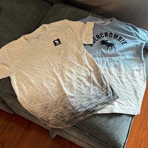 Abercrombie kids tee set of two